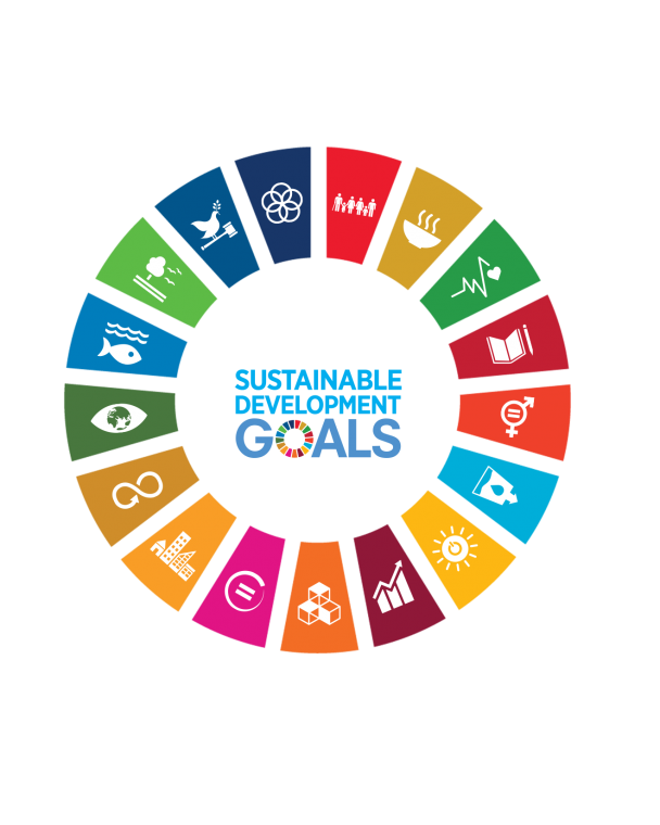 SDG goals.png